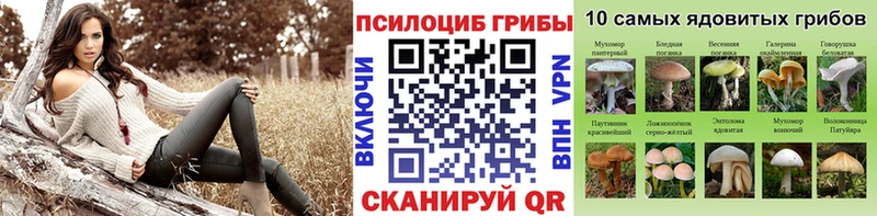 Псилоцибиновые грибы мицелий  kraken ONION  Сухиничи 